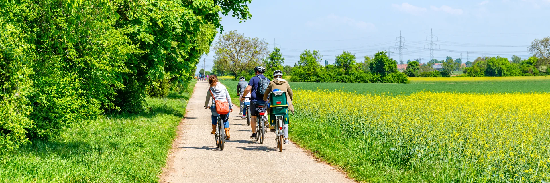 Tandem fietsen huren voor een vakantie met kinderen op de Veluwe - ook fietsreparaties - Edwin Fietsverhuur