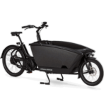 Urban Arrow Family Cargo