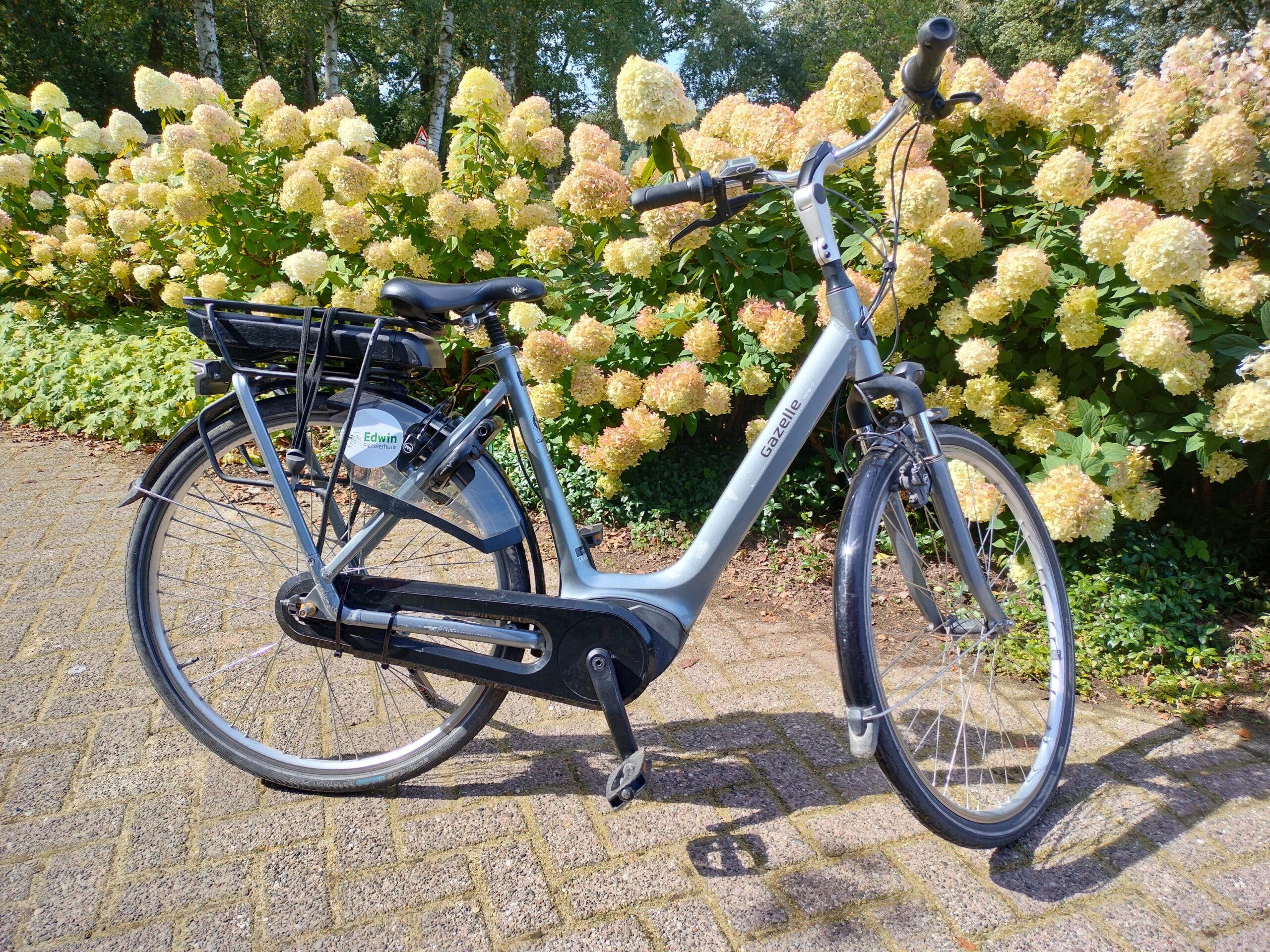 Gazelle Orange C7