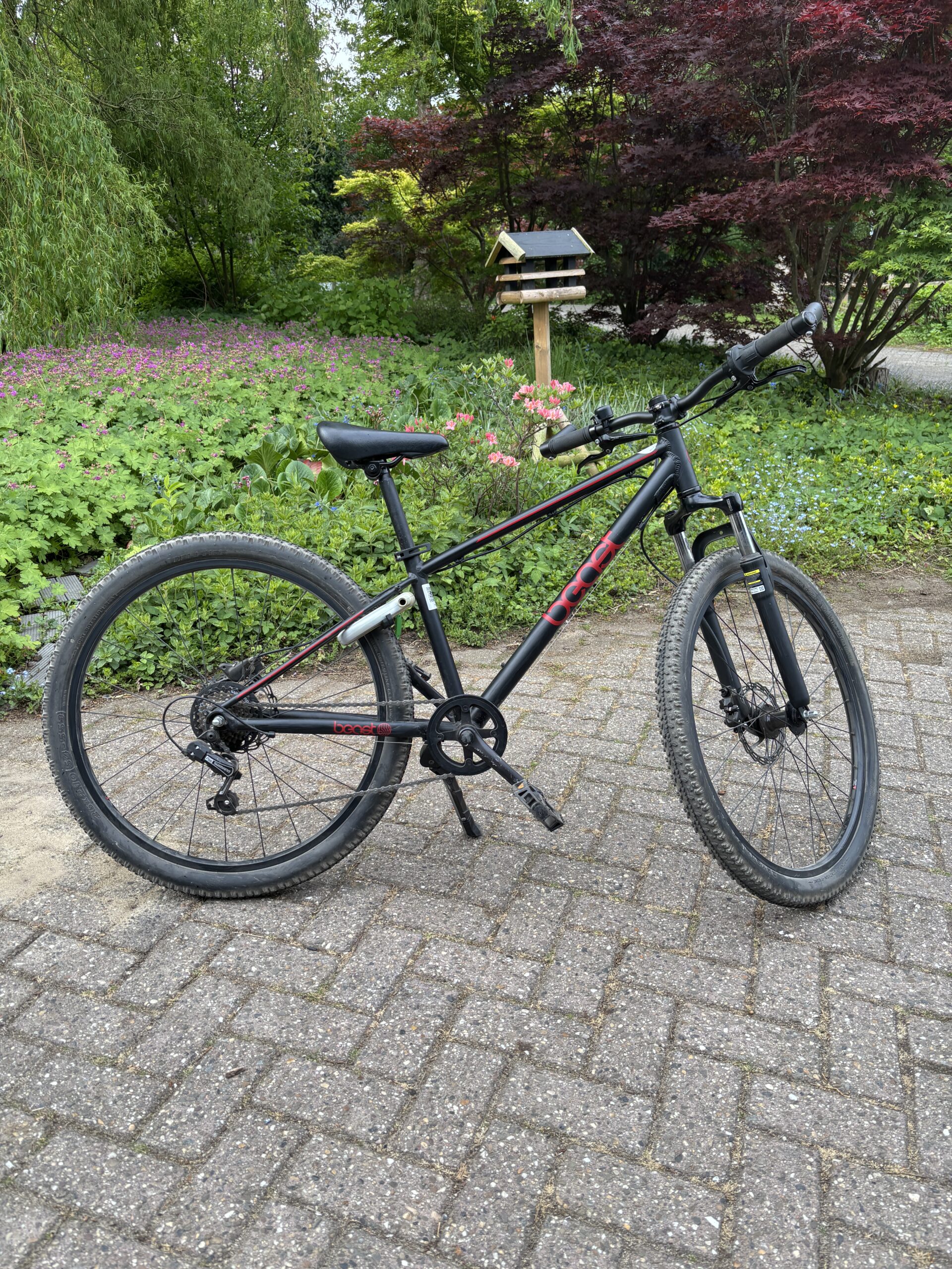 Bike Fun The Beast
